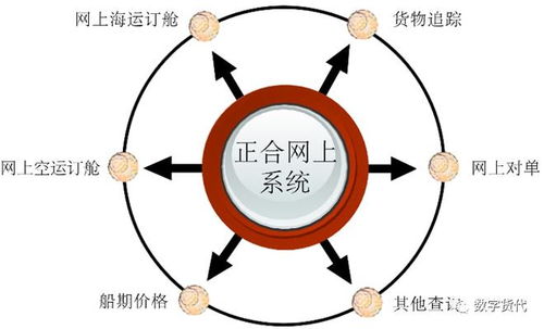 国内货代需要什么样的数字化